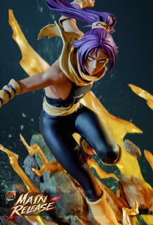 Bleach - Yoruichi Shihōin
